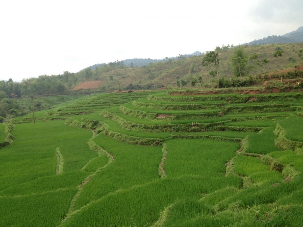 mai chau tour 