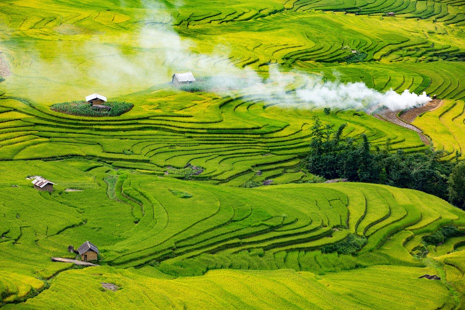  Beautiful terraces in viet nam