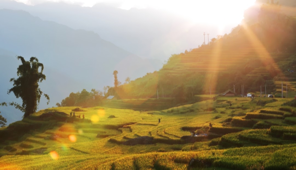  Beautiful terraces in viet nam