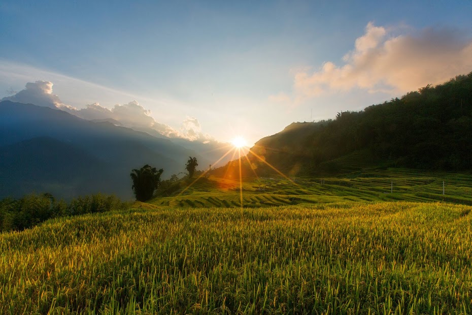  Beautiful terraces in viet nam