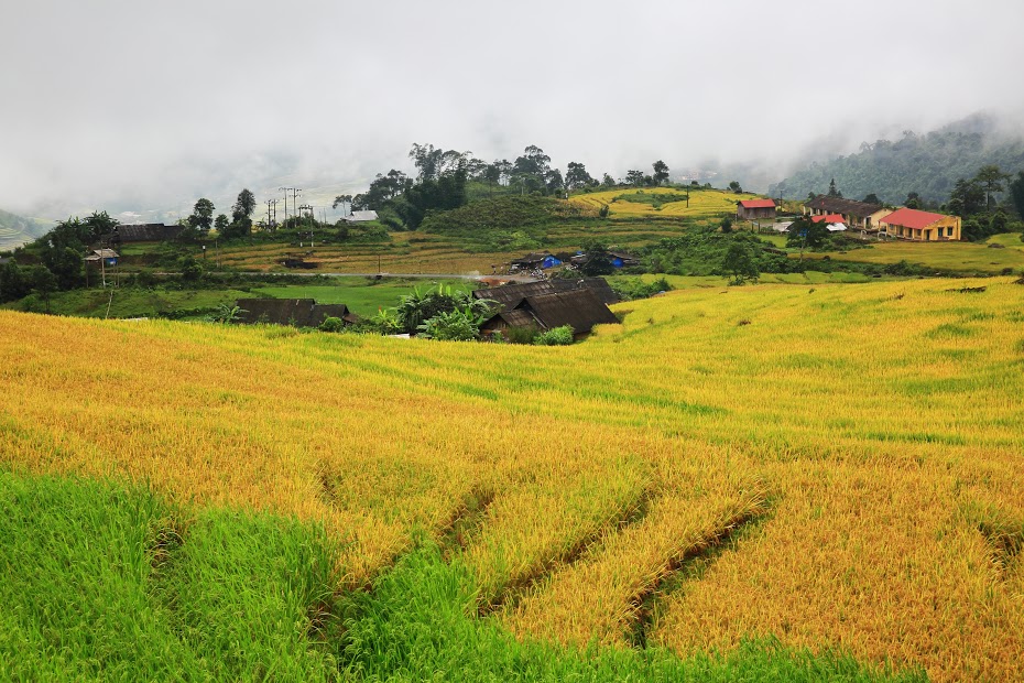  Beautiful terraces in viet nam