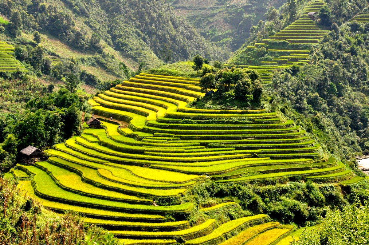 Questions of tourist when travelling in Mu Cang Chai